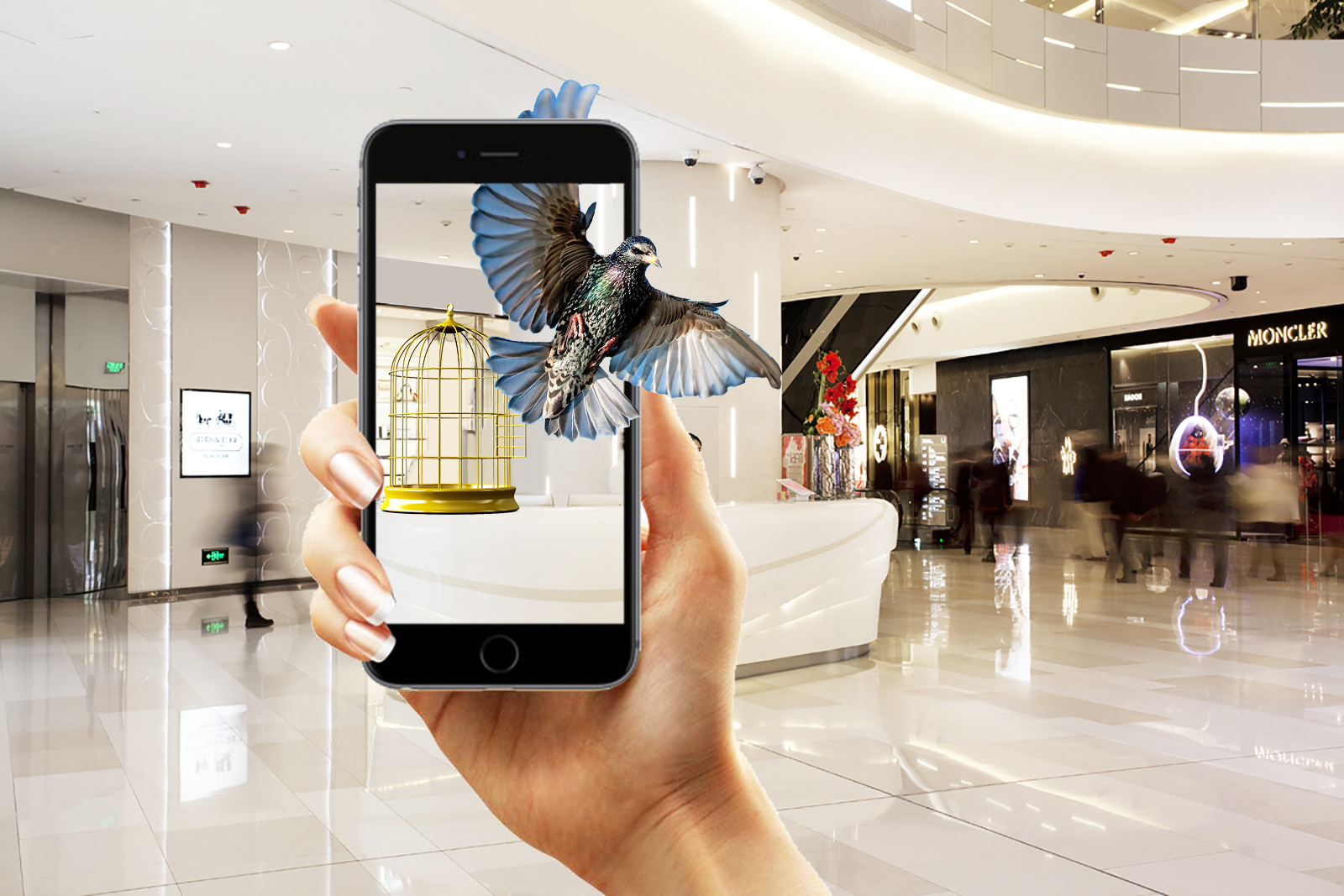 Image Recognition - Augmented Reality Development